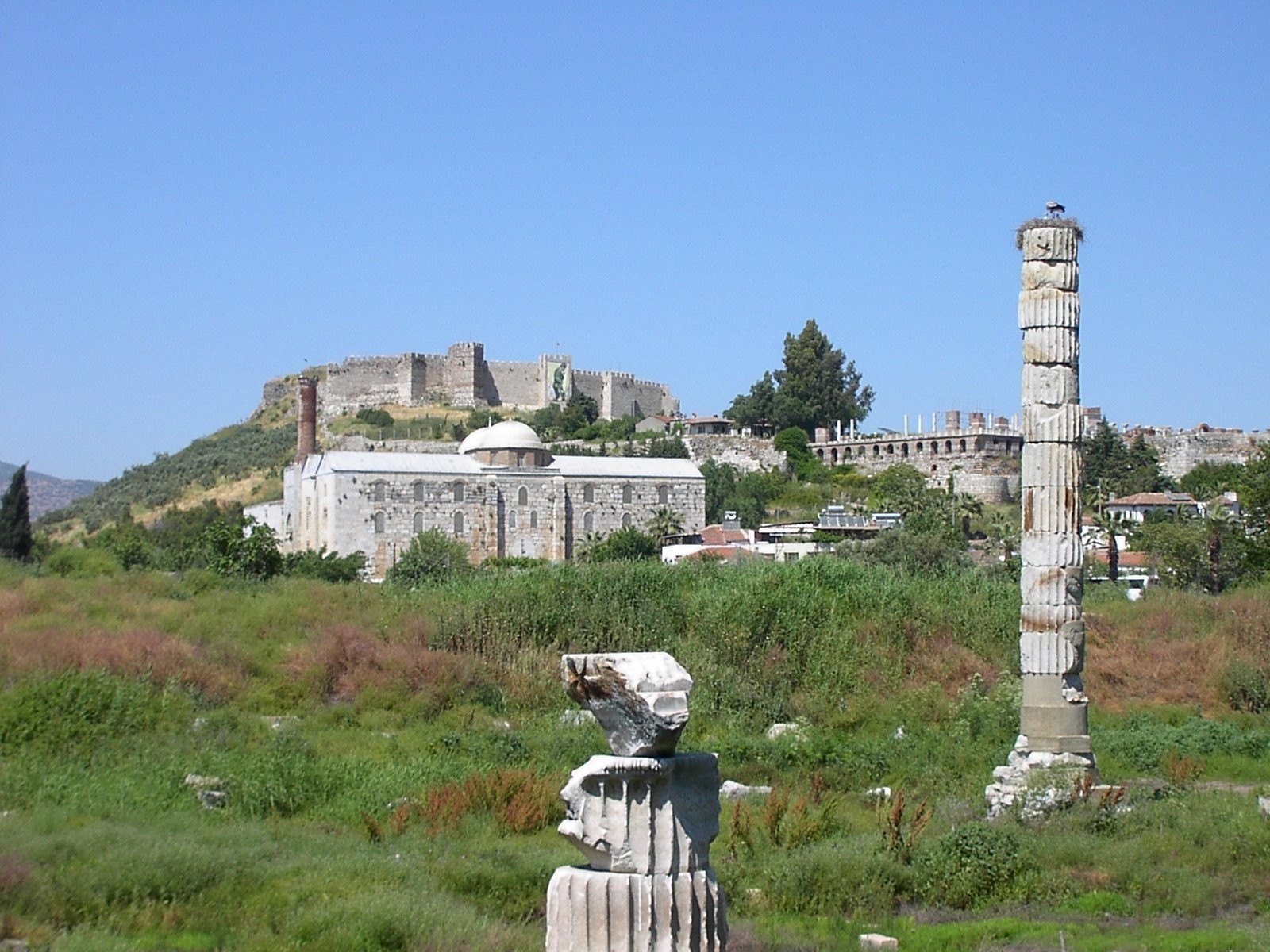 Efes Antik Kenti Artemis Tapınağı yıkıntıları / Dök Mimarlık