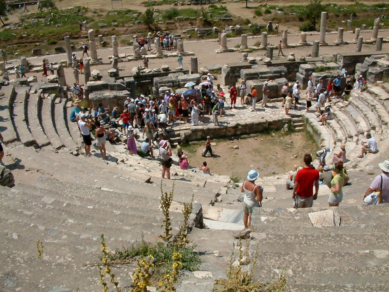 Efes Antik Kenti Odeon Senatosu / Dök Mimarlık  