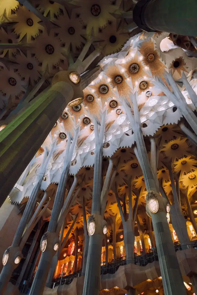 church ceiling with tree shaped columns at la sagrada familia in barcelona spain