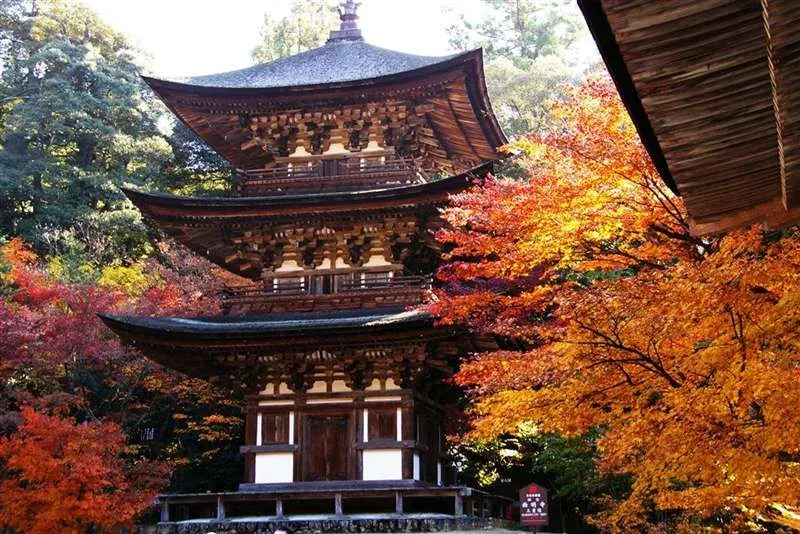 Kioto Japón El Legado Perdurable De Shoin Zukuri - Imagen 3