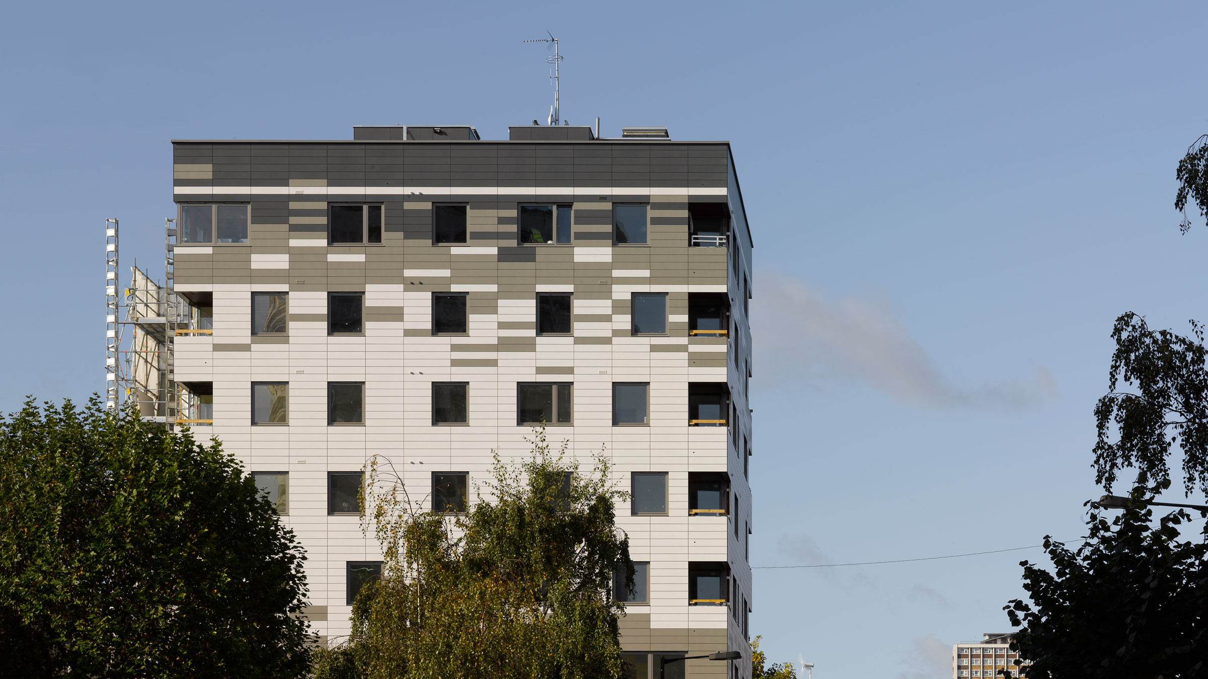 Murray Grove Waugh Thistletons Révolution du Bois - Image 4